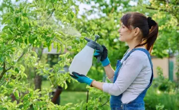 A Beginner’s Guide to Choosing High-Quality Fungicides